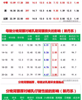丹系VS美系母豬營養及飼喂差異_05.png