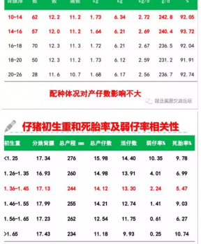 丹系VS美系母豬營養及飼喂差異_06.png