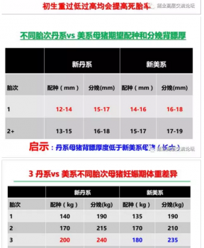 丹系VS美系母豬營養及飼喂差異_07.png