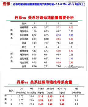 丹系VS美系母豬營養及飼喂差異_10.png