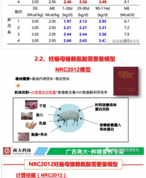 丹系VS美系母豬營養及飼喂差異_11.png