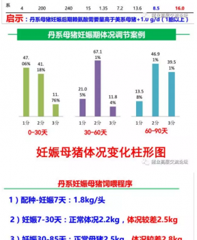 丹系VS美系母豬營養及飼喂差異_13.png