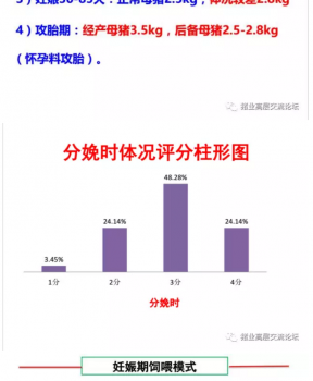 丹系VS美系母豬營養及飼喂差異_14.png
