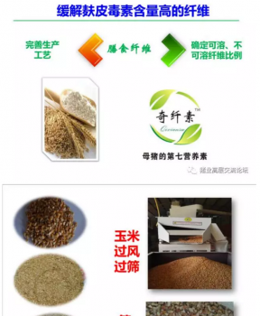 丹系VS美系母豬營養及飼喂差異_18.png