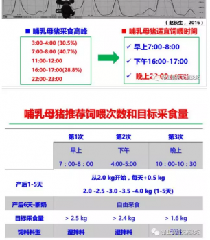 丹系VS美系母豬營養及飼喂差異_11.png