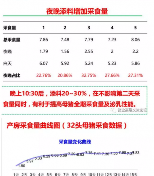 丹系VS美系母豬營養及飼喂差異_12.png