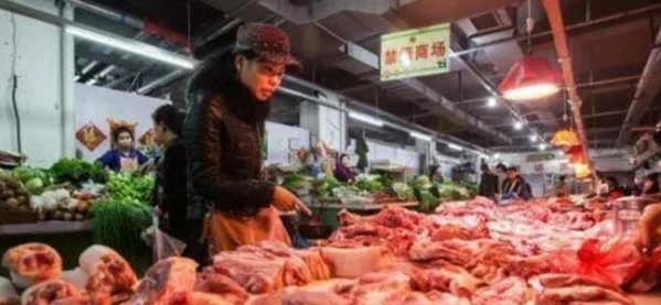 央廣網(wǎng)：11月底豬價(jià)將再迎來一波上漲，養(yǎng)戶可伺機(jī)而動！