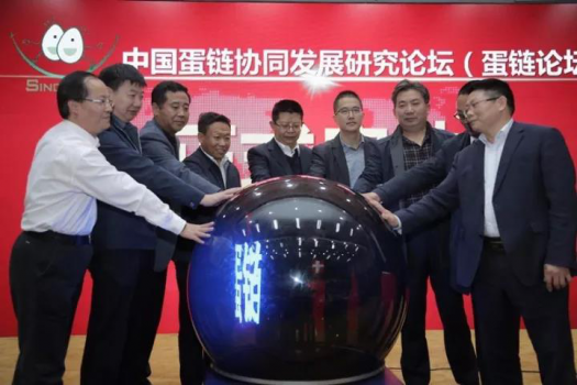 協同打造優質放心蛋品 助力禽蛋產業轉型升級 ——“中國蛋鏈協同發展研究論壇”在...