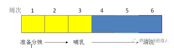批次生產(chǎn) | 豬場(chǎng)如何由周批生產(chǎn)轉(zhuǎn)型為三周批次生產(chǎn)（2）