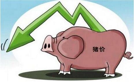 今日豬價分析：豬價、肉價均現不同幅度下跌