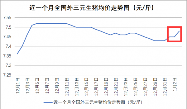 漲了！漲了！15省豬價全線飄紅，但這2點不注意漲價也白搭....
