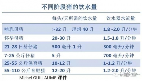 技術控 | 如何增加哺乳母豬的飲水量？