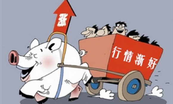 2018年生豬價(jià)格會(huì)持續(xù)走高嗎?