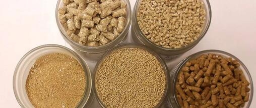 動物飼料配方纖維基質秘密揭露