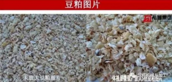 春季要注意預防霉菌毒素中毒