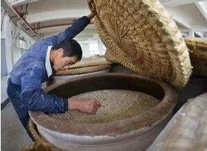 飼料發(fā)酵為何被列入十三五發(fā)展重點(diǎn)，發(fā)酵飼料有何用處？