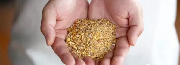 豬場(chǎng)的生存之道：飼料價(jià)值決定養(yǎng)殖成本