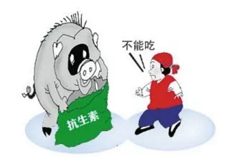 抗生素殘留的豬到底對(duì)人們危害多大？