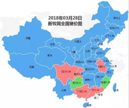 豬價上漲范圍擴大！農(nóng)業(yè)農(nóng)村部：年內(nèi)不存在長期下跌基礎！