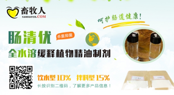 腸清優廣告圖.jpg