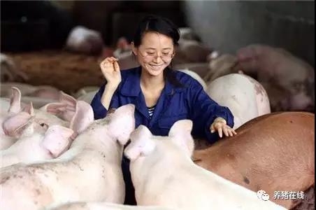 怎樣少虧損、零虧損，在行情好轉(zhuǎn)時有豬賣、穩(wěn)賺錢呢？