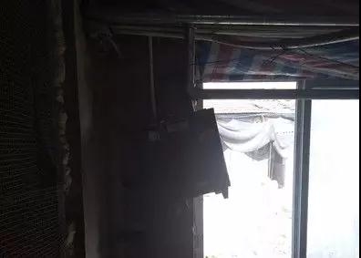 母豬懷孕初期頻頻流產怎么辦？