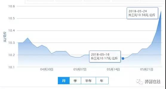 近期豬價全面上漲，這波行情還能持續多久？