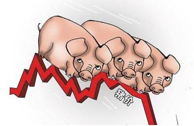 豬價否極泰來， “豬周期”磨底進行時