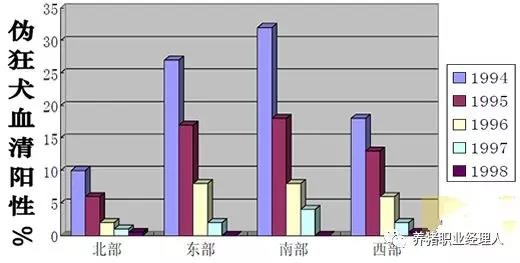 荷蘭成功清除豬偽狂犬病的經驗值得我們借鑒