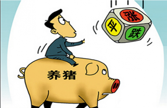 豬價短暫漲跌互現，生豬供應總體寬松！