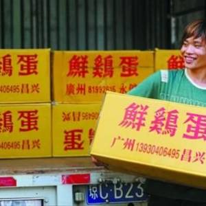 北京雞蛋不淡定 每公斤零售價近9.5元