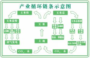 帶您走進山東龍力生物科技股份有限公司