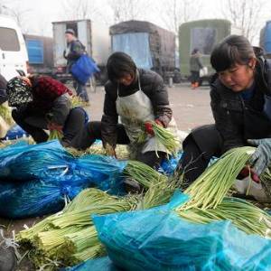 商務部：蔬菜批發價格連漲10周