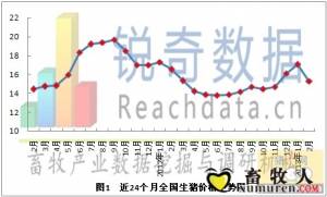 銳奇數據2013年2月豬評：全國生豬價大范圍下跌