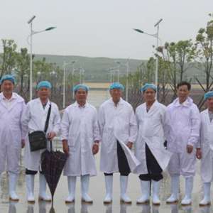 華盛江泉：國際化標準的“中國式”豬場