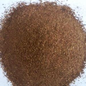 探討飼喂酒糟蛋白飼料對豬群健康和生產性能的重要性