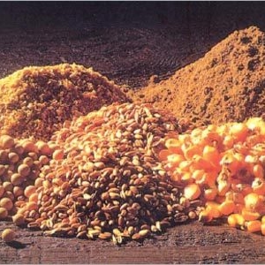 哺乳母豬料配方對比試驗(yàn)