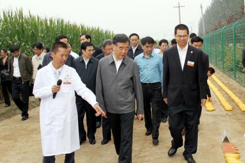 汪洋副總理視察大北農金色農華種業科研基地