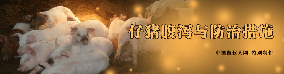 仔豬腹瀉與防治措施