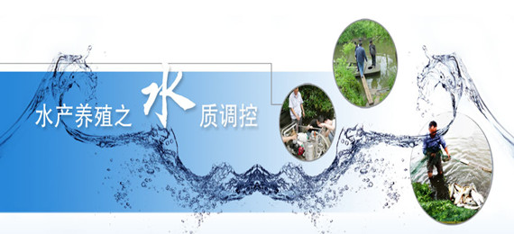 水產(chǎn)養(yǎng)殖之水質(zhì)調(diào)控