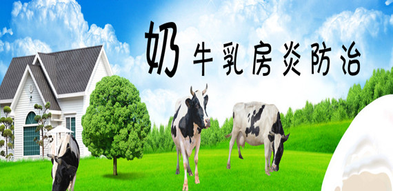 奶牛乳房炎防治