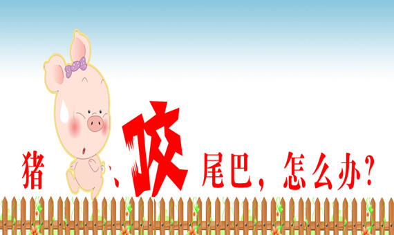 豬咬尾巴，怎么辦？