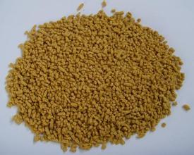 上海教槽料會議吳廣兵博士講座內(nèi)容