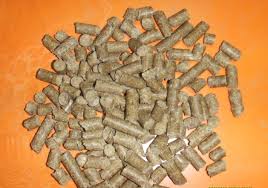 能量與其他營養物質的關系
