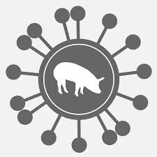 豬及其飼料的相關知識