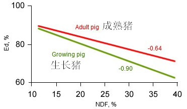 審查酶在仔豬營(yíng)養(yǎng)，作用和盈利方面的應(yīng)用