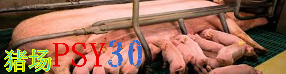 如何實現豬場PSY30目標？