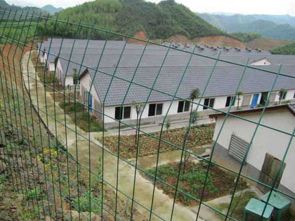 豬場秋季管理要點：防應激、營養(yǎng)加保健