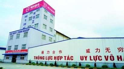 海外探訪：新希望、通威等飼料企業抱團突圍闖越南