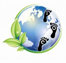 專業飼料原料的碳足跡